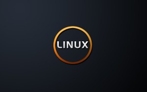 linuxcds1920 linuxcds1920
